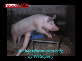 Pig Sex with girl