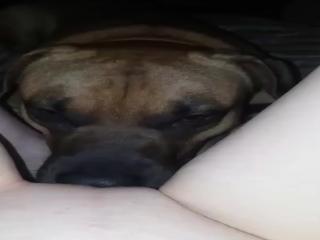 Girlfriend Taking Dog In All Her Hot Holes - ExtremeBeastZoo