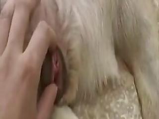 Man fucks dog for an authentic zoo porn xxx top climax. The most popular animal sex website in the world.