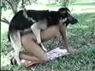 A beautiful woman with brown hair gets raped by a dog in the park in this episode of Zoo Porn Dog Sex, also known as Zoophilia.