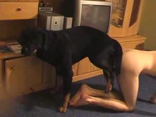 A cute French girl is having sex with her black dog in the living room.