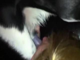 girls sucking huge dogs' cocks watch free porn video watch free animal sex only on our website